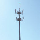 Profesyonel Telekomünikasyon Kuleleri, Örtülü Çam Ağacı Kulesi