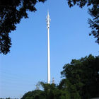 Profesyonel Telekomünikasyon Kuleleri, Örtülü Çam Ağacı Kulesi