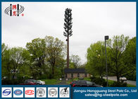 30m Gizli Çam Ağacı Telekomünikasyon Kuleleri Poligonal Galvanizli